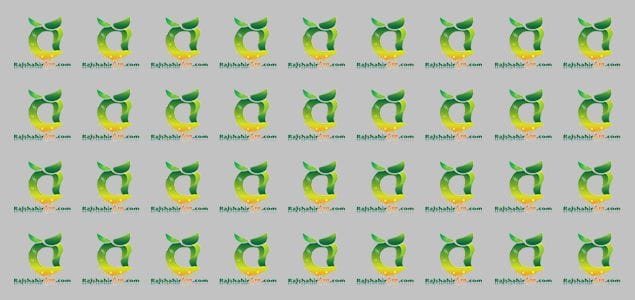 হ্যান্ডস অন রিভিউ – রাজশাহীর আম ডট কম